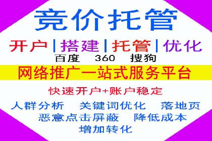 专业sem竞价托管服务，案例解析提升广告效果
